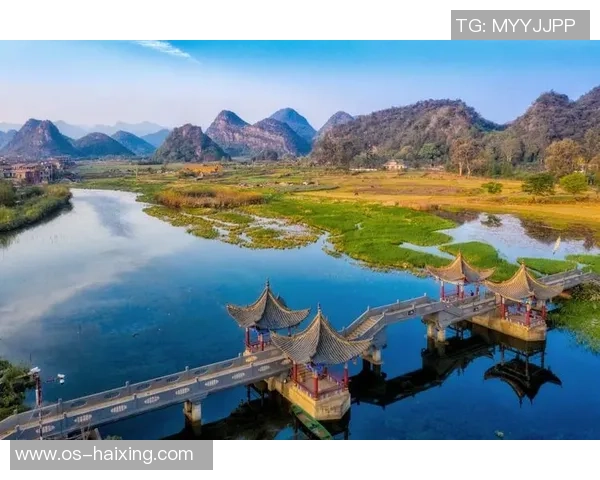 G2战队与AFC对决精彩回顾及战术分析全景呈现